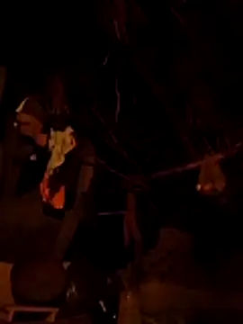 Dipti hote online show from 04-12-26, 02:53