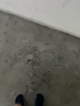 Snapshot of Wvpppp chatting on 02-24-26, 08:37 Wvpppp online show from 02-24-26, 08:37