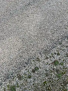 magicdickx21 online show from 02-20-26, 02:08