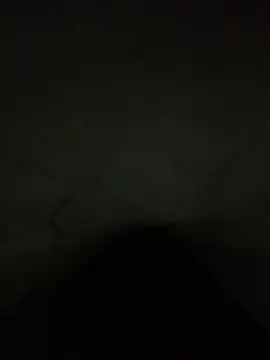 Vic187319 online show from 02-02-26, 08:57