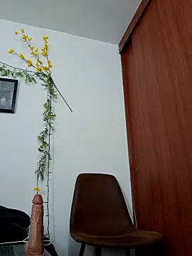 Snapshot of Luis_prince_ chatting on 02-03-26, 06:24 Luis prince online show from 02-03-26, 06:24