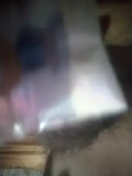 Snapshot of degeneradicto chatting on 02-09-26, 01:25 degeneradicto online show from 02-09-26, 01:25