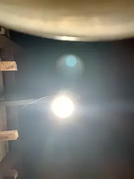 ngoccc-nga online show from 03-01-26, 01:11