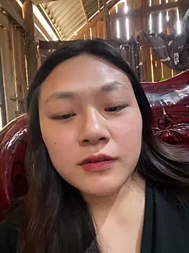 bikhidj online show from 04-11-26, 05:26