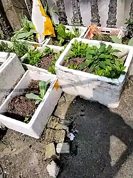 Snapshot of Queen-love45 chatting on 03-01-26, 03:39 Queen-love45 online show from 03-01-26, 03:39