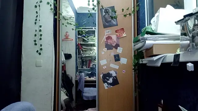 PhoebePalmer online show from 03-28-26, 07:48