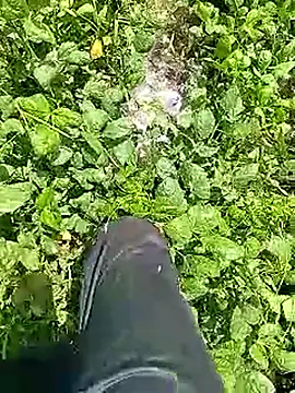 Cute Boy 4 online show from 04-09-26, 06:30