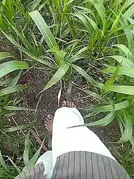 Cute Boy 4 online show from 04-17-26, 02:03