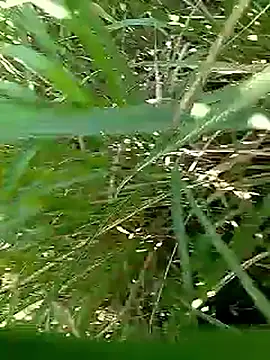 Snapshot of Cute_Boy_4 chatting on 04-25-26, 04:04 Cute Boy 4 online show from 04-25-26, 04:04