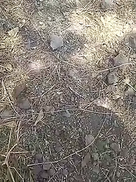 Cute Boy 4 online show from 03-15-26, 08:10