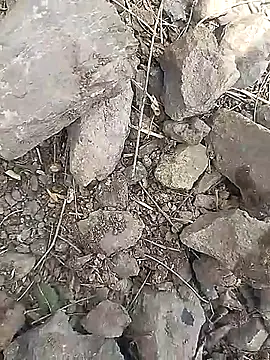 Cute Boy 4 online show from 03-30-26, 06:48