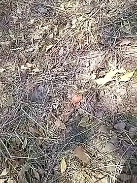 Cute Boy 4 online show from 04-16-26, 07:53