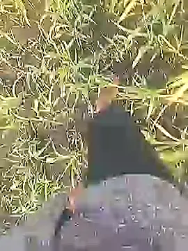 Snapshot of Cute_Boy_4 chatting on 02-28-26, 02:22 Cute Boy 4 online show from 02-28-26, 02:22