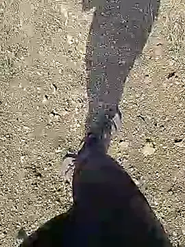 Cute Boy 4 online show from 04-10-26, 04:19