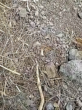 Cute Boy 4 online show from 04-08-26, 07:32