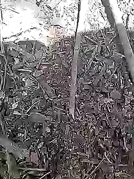 Cute Boy 4 online show from 04-15-26, 08:20