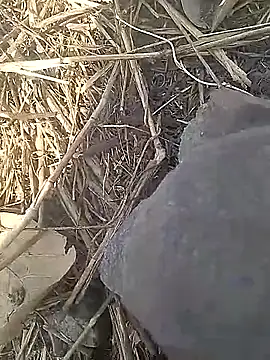 Cute Boy 4 online show from 03-13-26, 09:58