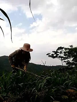 Tina-beo online show from 04-10-26, 08:10