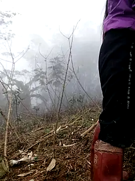 Tina-beo online show from 03-21-26, 08:19