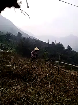 Tina-beo online show from 03-27-26, 09:43