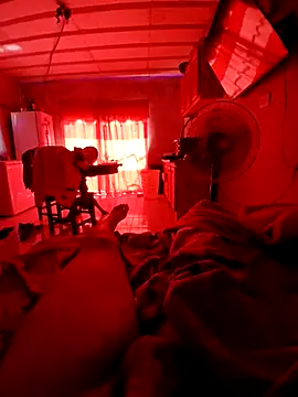 elvergon23139 online show from 02-08-26, 02:15