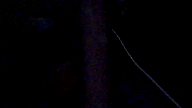 lorraine2036 online show from 02-28-26, 11:32