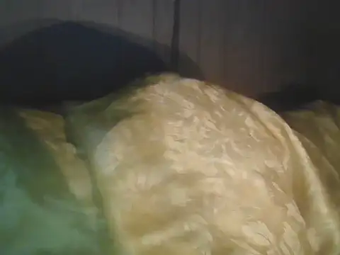 Prikev38452 online show from 04-11-26, 05:59