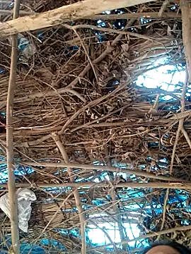 Rajni248096 online show from 03-12-26, 07:56