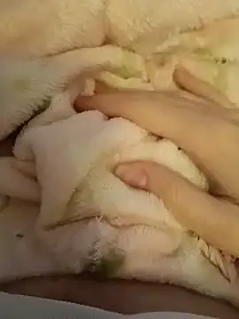 Snapshot of CutxeFrench chatting on 03-02-26, 10:33 CutxeFrench online show from 03-02-26, 10:33