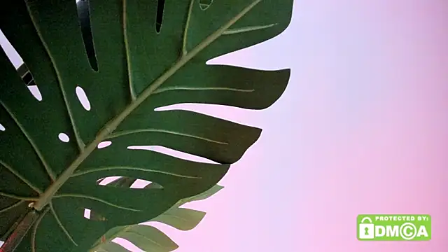 lovesweetash online show from 04-13-26, 02:21