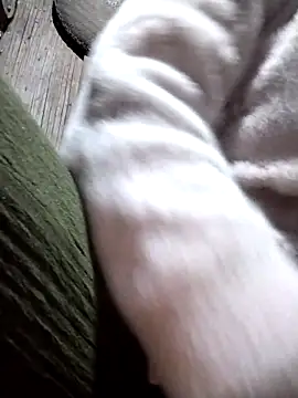 Snapshot of Bella-222 chatting on 03-22-26, 01:12 Bella-222 online show from 03-22-26, 01:12