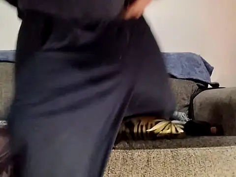 AERIALCLOVER online show from 02-24-26, 12:17