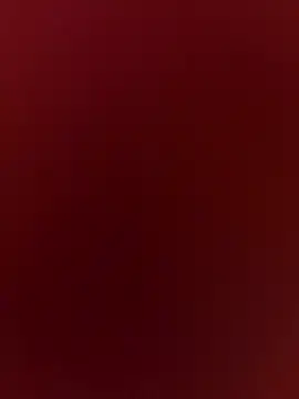 Snapshot of RoliNika22 chatting on 04-12-26, 01:03 RoliNika22 online show from 04-12-26, 01:03