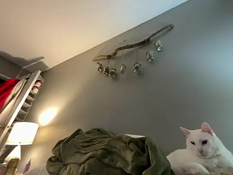 Snapshot of Sexysanka chatting on 02-05-26, 01:01 Sexysanka online show from 02-05-26, 01:01