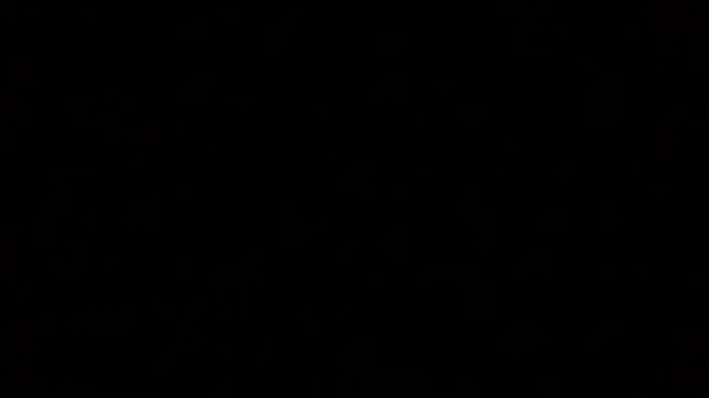 Luanatrav1 online show from 03-12-26, 09:46