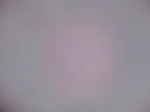 Snapshot of Luanatrav1 chatting on 02-21-26, 07:32 Luanatrav1 online show from 02-21-26, 07:32