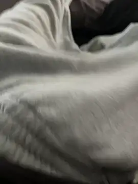 bugballs1 online show from 02-20-26, 11:39