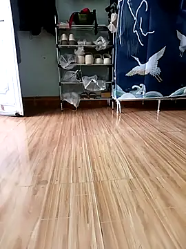 Tulip ii online show from 02-23-26, 04:25