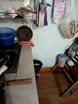 Tulip ii online show from 02-26-26, 03:17