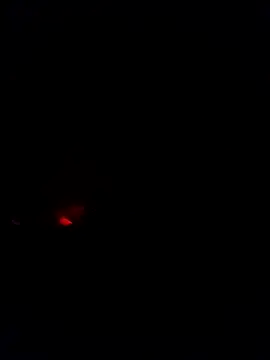 quanchatseex online show from 04-14-26, 02:55