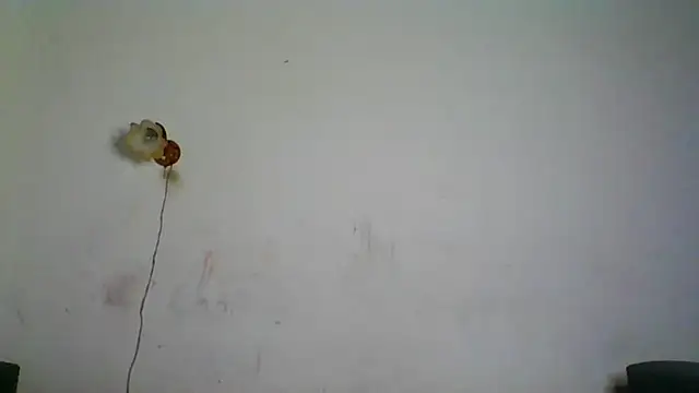 NickiKisinger online show from 02-07-26, 05:26