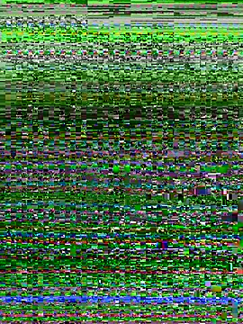 missgirl88 online show from 04-17-26, 10:56