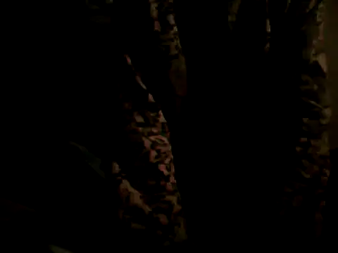 Snapshot of flakita38 chatting on 06-15-26, 11:48 flakita38 online show from 06-15-26, 11:48