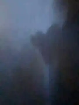 S7LEALTADPERVLIMA7 online show from 04-21-26, 11:11