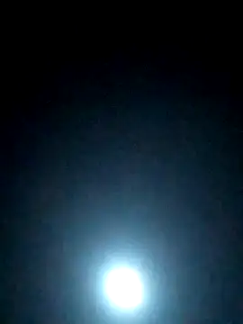 S7LEALTADPERVLIMA7 online show from 04-17-26, 03:26