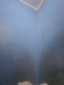 S7LEALTADPERVLIMA7 online show from 04-12-26, 06:00