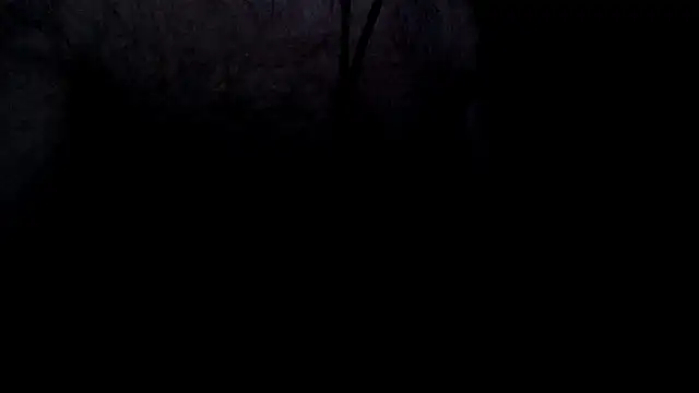 Snapshot of cumintodadark chatting on 06-04-26, 10:25 cumintodadark online show from 06-04-26, 10:25