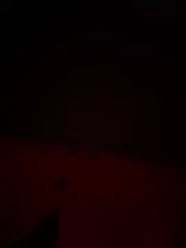 no-name15 online show from 03-29-26, 10:44