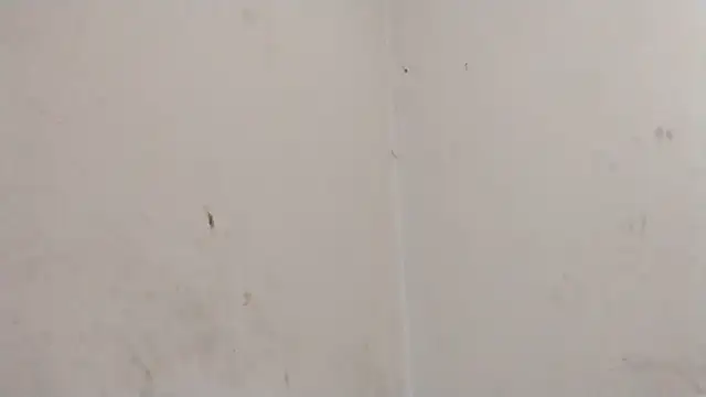 MisterSnowww online show from 03-06-26, 09:54