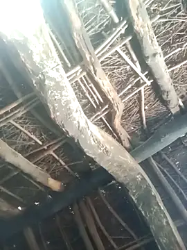 Manu mehta online show from 03-31-26, 04:58